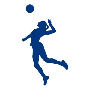 Icon_volleyball